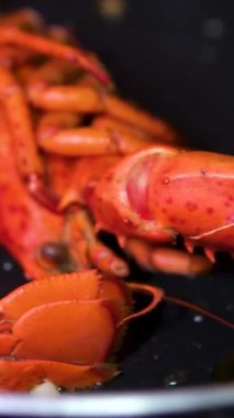 Istakoz kuyruğu ızgarasına yakın çekim. Yanında da yeşil soğanlı sarımsaklı limon yağı sosu. Hazırlık ve Pişirme Sırasındaki Resimleri kapat. Yaz Deniz Ürünleri Mangalı. - Evet. Yüksek kalite 4k görüntü