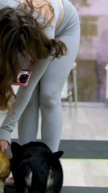 Yoga ve Corgi Yavruları rahatlama, insanlar yoga, kadınlar köpekleri okşama, egzersiz yapma, esneme hareketleri.