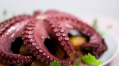 Ahtapot besinli ahtapot ahtapot taze leziz yemek yemeği dokunaçları peskatarizmi lezzetli gurme yemek arkaplanını masa rustik gıdalar üst görünüm fotokopi uzay keto ve paleo diyeti. Yüksek kalite 4k görüntü