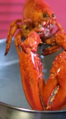 Tencereden maşayla çıkarılmış ıstakoz. Yüksek kalite 4k görüntü