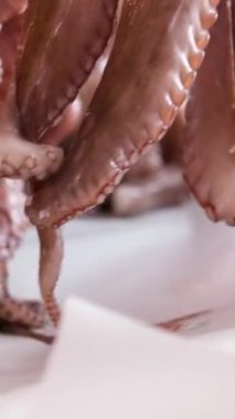 Ahtapot besinli ahtapot ahtapot taze leziz yemek yemeği dokunaçları peskatarizmi lezzetli gurme yemek arkaplanını masa rustik gıdalar üst görünüm fotokopi uzay keto ve paleo diyeti. Yüksek kalite 4k görüntü