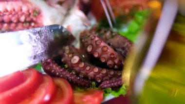 Genç aşçı modern bir mutfakta ahtapot kesiyor. Adam evde yemek hazırlıyor. Sağlıklı yemek pişirmek. Yüksek kalite 4k görüntü