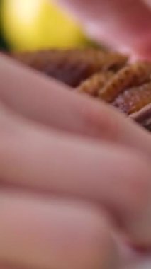 Tütsülenmiş ördek tabağı. Turntable 'da dönen beyaz bir tabakta ördek leşi. Kızarmış vahşi kuş. Geleneksel Asya yemekleri. Kızarmış ördek eti. Yakın çekim. Gastronomi, Restoran Yemeği. 