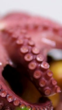 Ahtapot besinli ahtapot ahtapot taze leziz yemek yemeği dokunaçları peskatarizmi lezzetli gurme yemek arkaplanını masa rustik gıdalar üst görünüm fotokopi uzay keto ve paleo diyeti. Yüksek kalite 4k görüntü