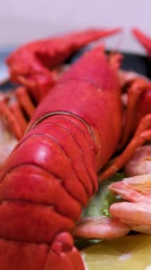 Büyük pişmiş kırmızı ıstakozu limonlu ezilmiş buzun üzerinde, yanında da limonlu. Taze, sulu ıstakoz kavramı masada tropikal meyve maaşlarıyla lüks bir şekilde sunuluyor. 