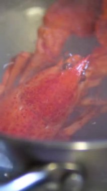 Istakoz yavaş çekimde kaynayan kabın içinden çıkarılıyor. Fantom 'la Çekilmiş 