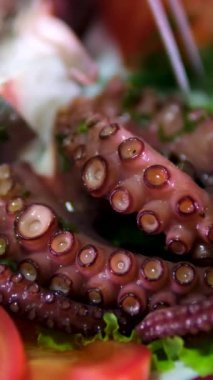 Genç aşçı modern bir mutfakta ahtapot kesiyor. Adam evde yemek hazırlıyor. Sağlıklı yemek pişirmek. Yüksek kalite 4k görüntü