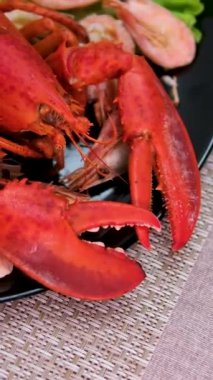 Bir bardak bira kırmızı ıstakoz ezilmiş buz üzerinde limonlu ve yanında limonlu. Taze, sulu ıstakoz kavramı masada tropikal meyve maaşlarıyla lüks bir şekilde sunuluyor. 