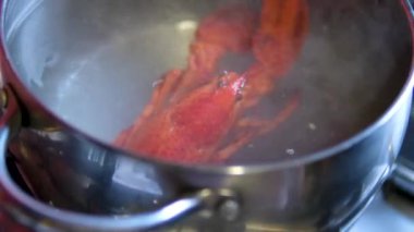 Istakoz yavaş çekimde kaynayan kabın içinden çıkarılıyor. Fantom 'la Çekilmiş 