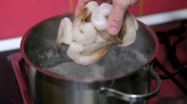 Donmuş karides, yakın plan. Buz jöleli karides. Yüksek kalite 4k görüntü