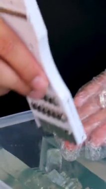 Meyve suyu olarak Platostoma Palustre 'dan yapılan geleneksel jöleye ait bulanık görüntüler. Endonezya 'da Sincau Hitam ya da Janggelan olarak bilinir. Yüksek kalite 4k görüntü
