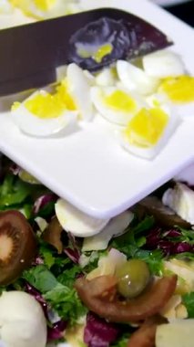 Yumurta, domates ve salatalık ile karışık sebze salatası. Yüksek kalite 4k görüntü