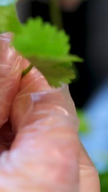 Kadın kişniş ya da maydanoz doğruyor yerli mutfağın ahşap kesim tahtasıyla. Yüksek kalite 4k görüntü