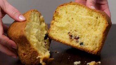 Panettone Paskalya güvercini bayanların elinde. Colomba di Pasqua - geleneksel İtalyan paskalya güvercini pastası, jöleli makarna, badem. Tahtadaki Paskalya güvercini. Yüksek kalite 4k görüntü