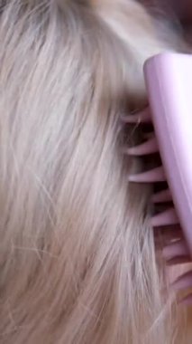 hair growth stimulating, scalp massage.woman using pink scalp massager shampoo brush with silicone,flexible bristels.hair care,head relaxation.shampoo foam on hair,hand,isolated.