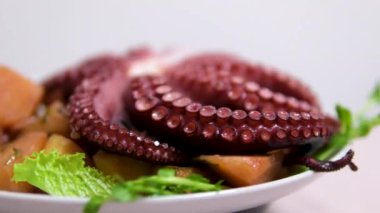 Patates, zeytin ve maydanozlu taze ahtapot salatası. Sağlıklı yiyecekler. Yakın plan. Tam üstte. Yüksek kalite 4k görüntü