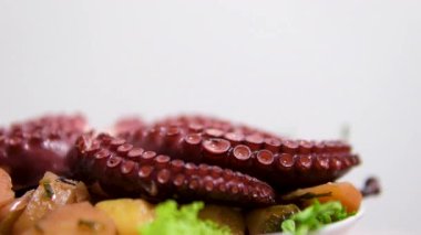 Şarap soslu ızgara ahtapot dokunaçları. Yüksek kalite 4k görüntü