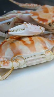 Dışarıdaki ahşap bir masada kaplanmış kırmızı kar yengeci ve yengeç eti. Yüksek kaliteli FullHD görüntüler