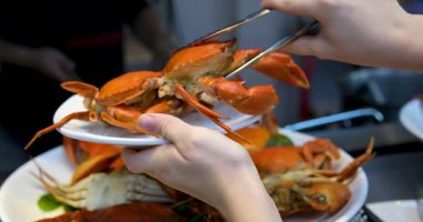 Japonya Ryokan 4k 'ta yengeç çatalı kullanarak Japon Taraba Alaska kral yengeci yiyen Asyalı kadın. Yüksek kaliteli FullHD görüntüler