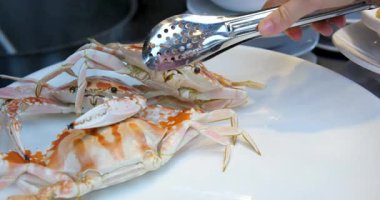 Yengeç, karides ve mürekkep balığıyla ızgara deniz ürünleri, Tayland 'ın ünlü sokak yemekleri. Yüksek kaliteli FullHD görüntüler