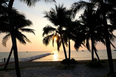 Güney İspanya 'da bir Palm Beach' te gün batımı. Yüksek kalite fotoğraf