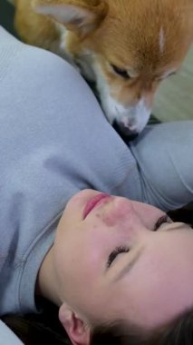 Yürek ısıtan bağ: Genç bir kadın Corgi köpeğini evde sever ve ona tapar. Yoga ve Corgi Yavruları rahatlama, insanlar yoga, kadınlar köpekleri okşama, egzersiz yapma, esneme hareketleri.