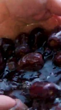 Kuru temizleme, besleyici ve geleneksel meyvelerin genellikle Ramazan ayında tüketilmesi, oruç tutmanın sağlık ve tatlılığını sembolize ediyor. - Evet. Yüksek kalite 4k görüntü