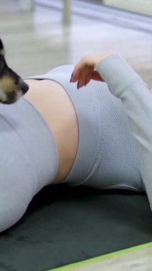 Yürek ısıtan bağ: Genç bir kadın Corgi köpeğini evde sever ve ona tapar. Yoga ve Corgi Yavruları rahatlama, insanlar yoga, kadınlar köpekleri okşama, egzersiz yapma, esneme hareketleri.