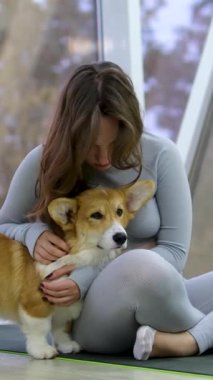 Yürek ısıtan bağ: Genç bir kadın Corgi köpeğini evde sever ve ona tapar. Yoga ve Corgi Yavruları rahatlama, insanlar yoga, kadınlar köpekleri okşama, egzersiz yapma, esneme hareketleri.