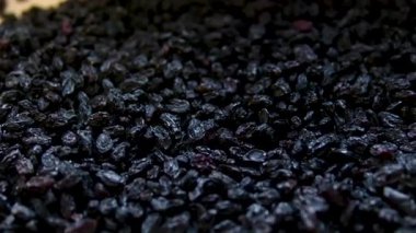 Siyah kuru üzümler yiyecek dokusunu değiştiriyor. Yüksek kalite 4k görüntü