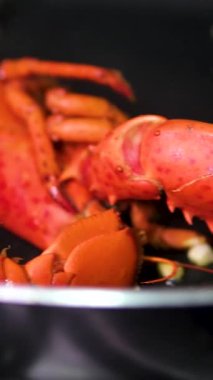 Elektrikli ocakta tavada pişen dikenli ıstakozlara yaklaş. Karayip mutfağının en popüler deniz ürünleri. Yüksek kalite 4k görüntü