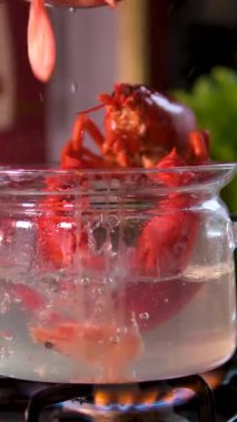 Karidesi kaynayan suya atın ıstakozlar yavaş çekimde kaynayan tencereden çıkartılır. Phantom Flex 4K kamerayla çekilmiş. Yüksek kalite 4k görüntü