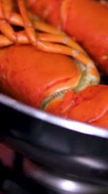 4K Top View Chef ıstakoz salatası süslemesini bitirdi. Yüksek kalite 4k görüntü