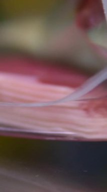 Taze dilimlenmiş jambon makro, kaydırmalı. Yüksek kalite 4k görüntü