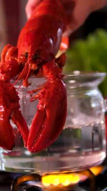 Istakoz tencerede kaynıyor. Yüksek kalite 4k görüntü