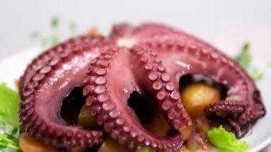 Izgara ahtapot salatasıyla dolu bir tabağın yavaş çekim sahnesini güzelce süslenmiş ve estetik pişirme konseptiyle kaplanmış şekilde çek. Yüksek kalite 4k görüntü