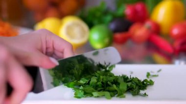 Cilantro maydanoz bıçağını yakın mesafeden kesiyor, şef kişniş aromalı kesiyor, geleneksel Asya mutfağı ve Meksika bitkisi stüdyosu fotoğrafı çekiyor. Yüksek kalite 4k görüntü