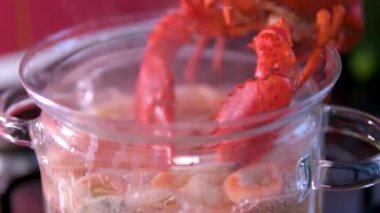 Çin Sıcak Ot Sahnesi ve Çorbadan Çalıntı Istakoz. Istakoz haşlama. Ağır çekim.