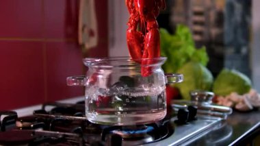 Çin Sıcak Ot Sahnesi ve Çorbadan Çalıntı Istakoz. Istakoz haşlama. Ağır çekim.