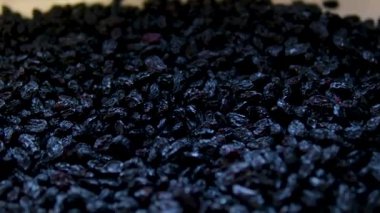 Kıyma makinesine dökün ve büyük siyah kuru üzümleri öğütün. Büyük ölçüde koyu üzüm. Sağlıklı yiyecekler. Kurutulmuş meyve. Daire şeklinde hareket edin. Siyah kuru üzümler yiyecek dokusunu değiştiriyor..