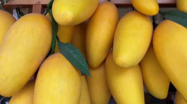 Vitrinde asılı olan dekoratif mango süsleri. Rafta sarı taze mango var. Yüksek kalite 4k görüntü