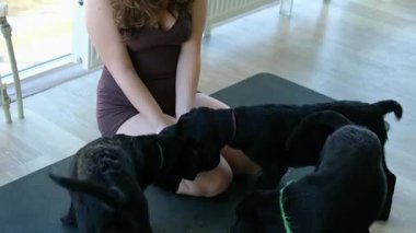 Gençler ve evcil köpekler sağlıklı yoga aktivitelerine girişiyor. Yüksek kalite 4k görüntü