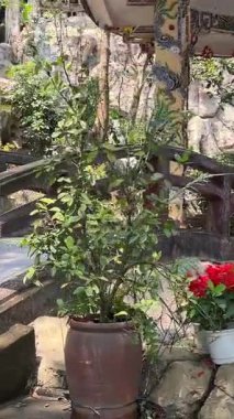 Bereketli yeşil tepeler ve uzaktaki kırsal manzarayla çevrili kayalık bir uçuruma tünemiş pagoda 'nın çarpıcı hava görüntüleri. Huzurlu sahne, doğal güzellikle kültürel mirası harmanlıyor..