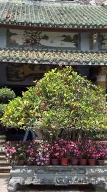 Bereketli yeşil tepeler ve uzaktaki kırsal manzarayla çevrili kayalık bir uçuruma tünemiş pagoda 'nın çarpıcı hava görüntüleri. Huzurlu sahne, doğal güzellikle kültürel mirası harmanlıyor..