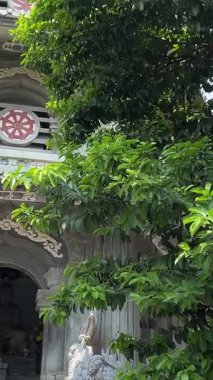 Bereketli yeşil tepeler ve uzaktaki kırsal manzarayla çevrili kayalık bir uçuruma tünemiş pagoda 'nın çarpıcı hava görüntüleri. Huzurlu sahne, doğal güzellikle kültürel mirası harmanlıyor..