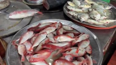 Pazarda taze balık tezgahları ve buzda çeşitli deniz ürünleri var. Tedarikçiler ve müşteriler hareketli bir pazar sahnesinde görülürler. Yüksek kalite 4k görüntü