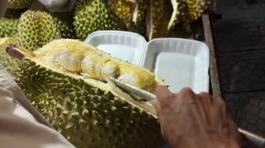 Çember şeklinde sunulan sulu Durian meyvesi. Yüksek kalite 4k görüntü