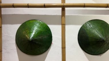 Duvarda Vietnamlı şapkaları, gelişiyor. Vietnamlı şapkalarıyla duvar dekorasyonunda birçok farklı küçük ve büyük başlık vardı. Yüksek kalite 4k görüntü