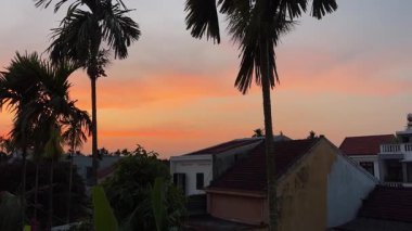 Hollywood 'da günbatımı palmiye ağaçlarından oluşan sıra sıra dizilmiş çatılar gün batımında Los Angeles şehrinin ufuk çizgisini gözler önüne seriyor. Yüksek kalite 4k görüntü