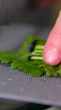 Şef yeşil ıspanak yapraklarını kesme tahtasının üzerinde bir bıçakla keser. Aşçı, kamera yavaşça hareket ederken ıspanağı yavaş çekimde doğruyor. Sebze salatası yapmak, sebzeli yemek yapmak, sağlıklı.